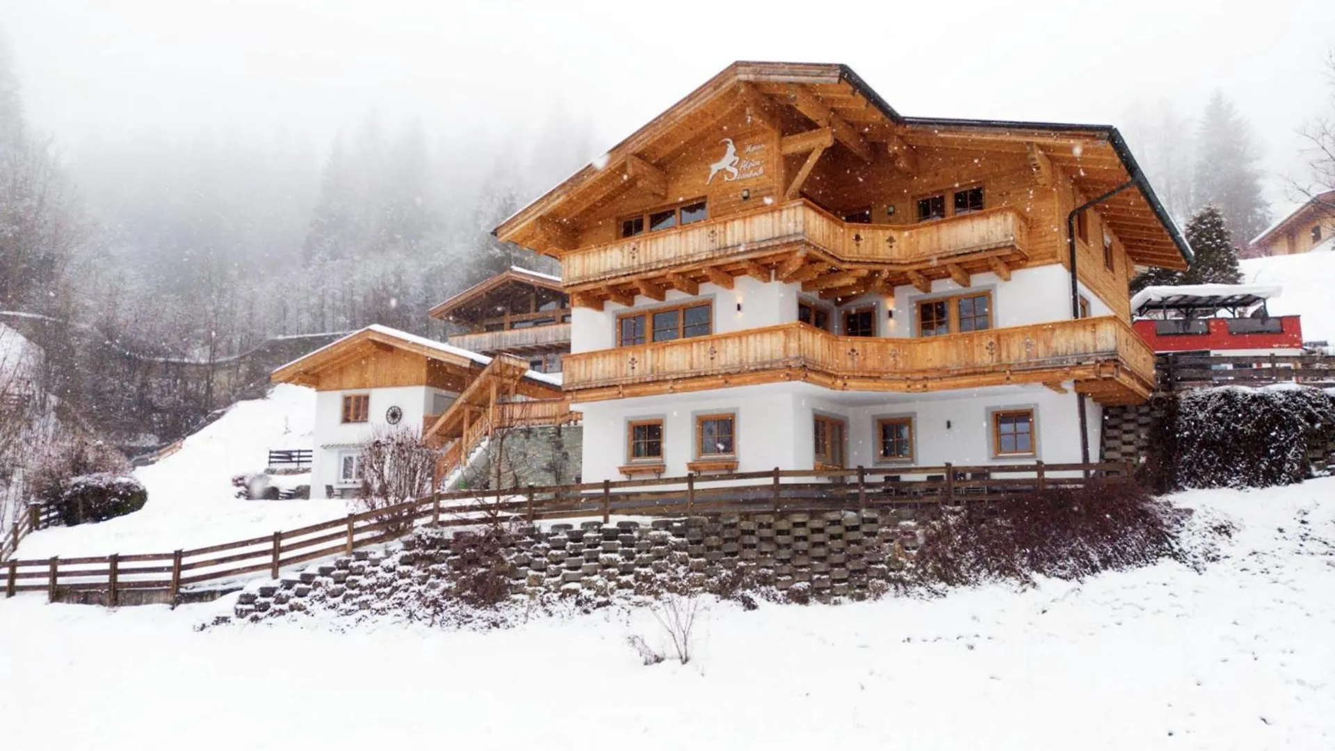 Appartement Alpensteinbock Saalbach B