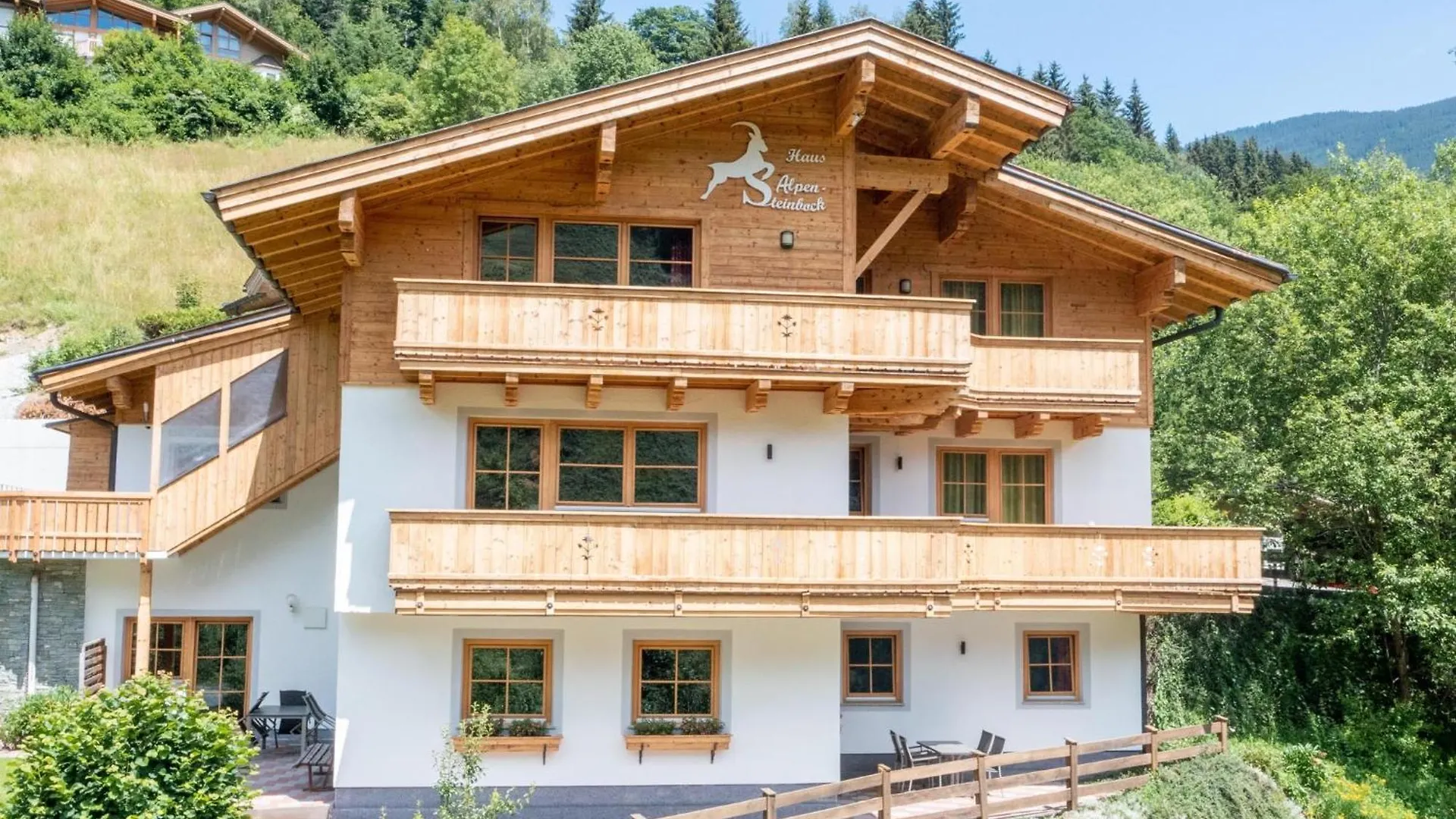Appartement Alpensteinbock Saalbach B